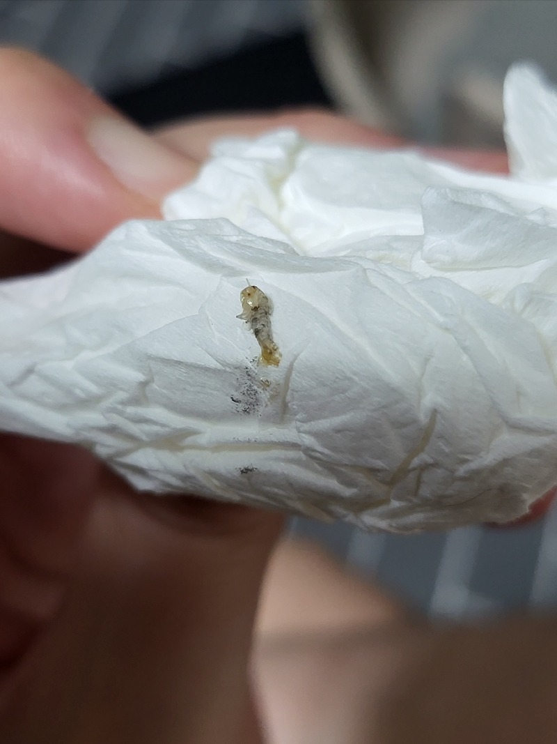 20220615_081709.jpg