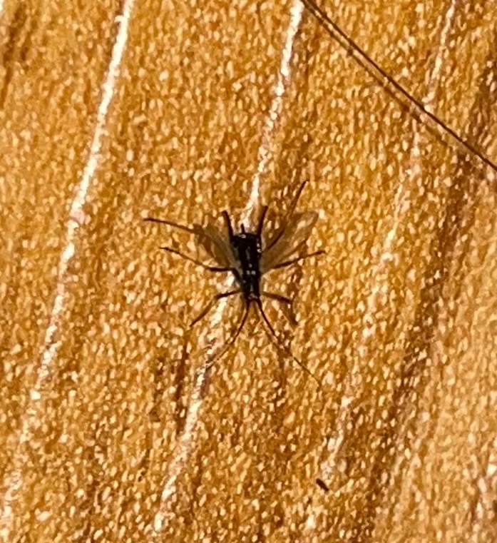 B63E24A5-9645-4648-8B37-054EAE2E0B40.jpeg