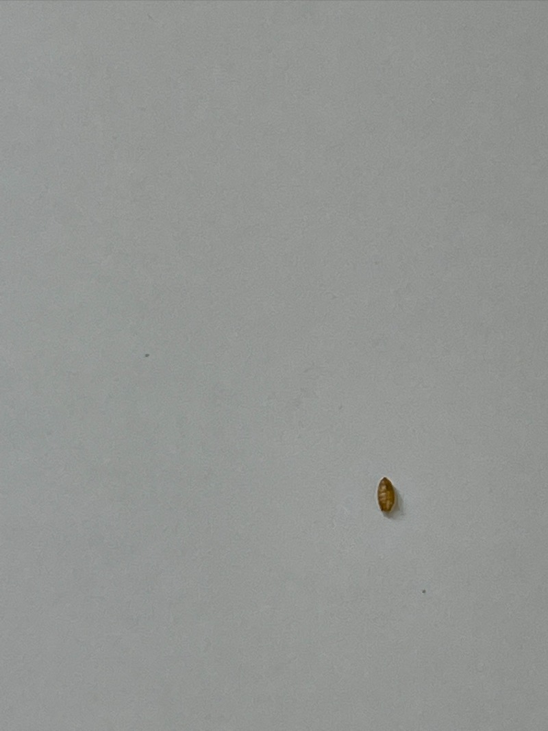 MQVV8258.JPG