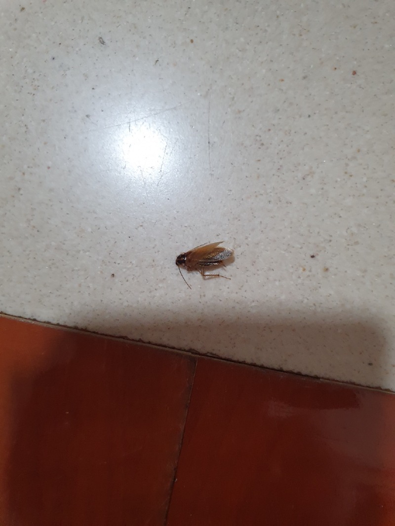 엄마아빠집.jpg