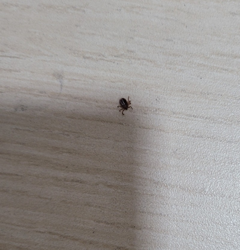 KakaoTalk_20220725_201423252 (2).jpg