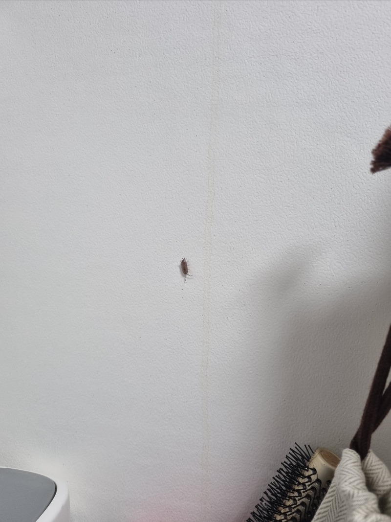 20220803_082720.jpg