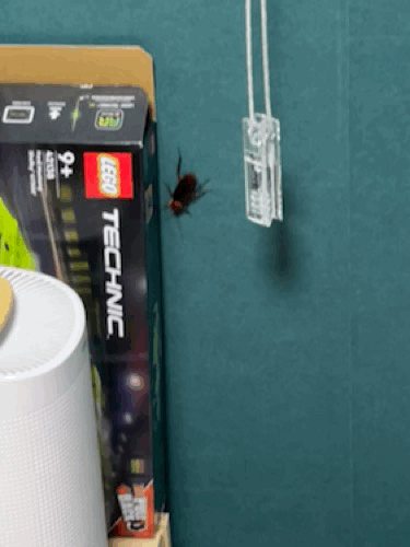 EC76FB70-DB27-4340-A195-566B14448C89.gif