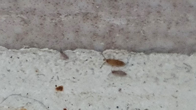 20220819_023914.jpg