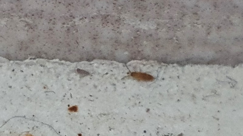 20220819_023912.jpg