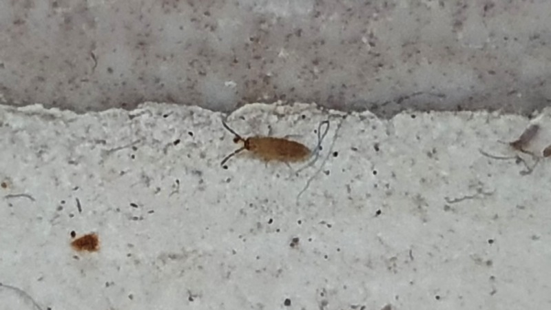 20220819_023839.jpg