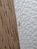 20220910_123002.jpg