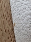 20220910_123005.jpg
