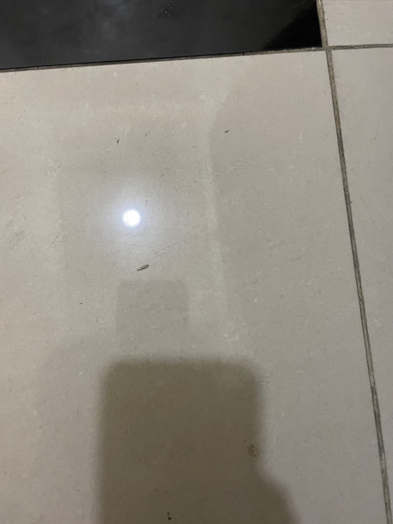 2B439DCB-F006-4700-9688-A3EAF3D5EAAE.jpeg