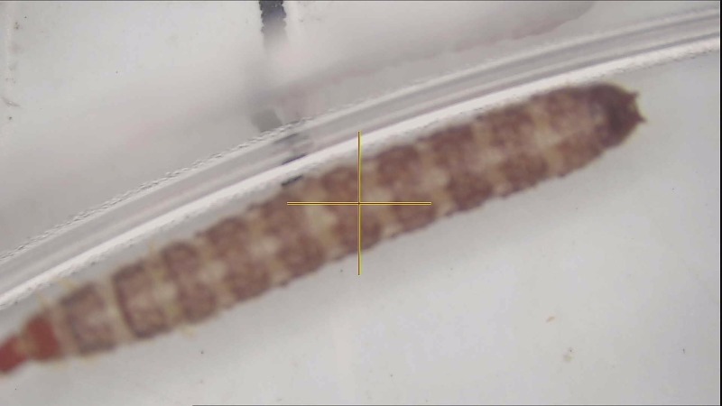 20221011095655.026_h30v16.875mm.jpg