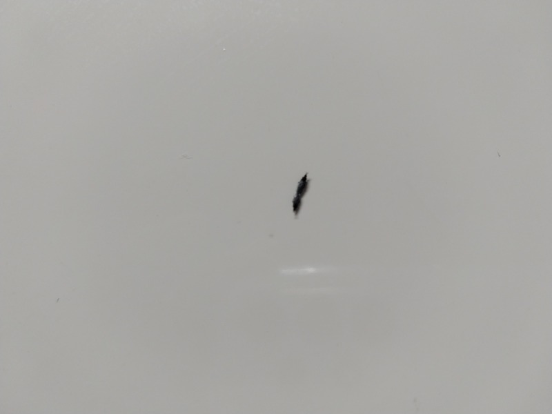 20221004_122544.jpg