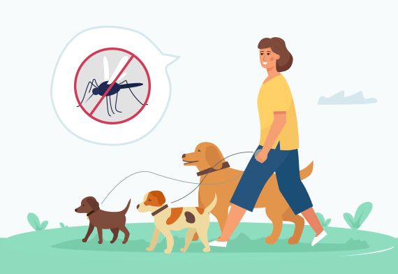 모기 예방 Tip6 - 반려동물과의 산책길에서 세스코(CESCO)의 벌레 퇴치 관련 제품을 통해 모기와 진드기로부터 자유로운 시간을 보내는 모습입니다.